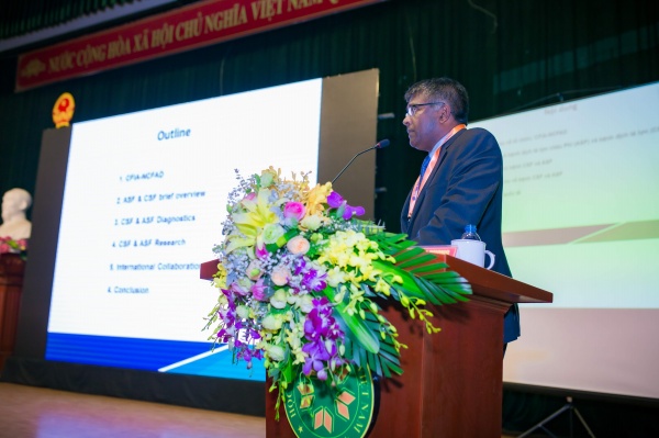 Tin nội bộ