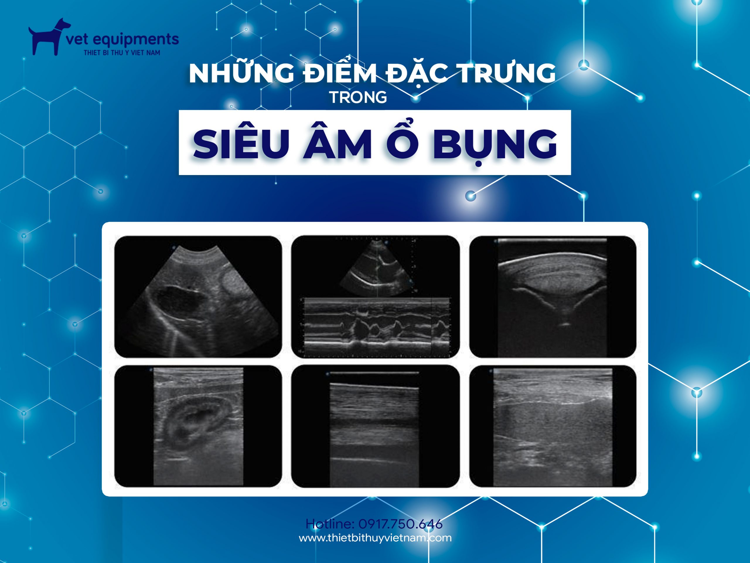 Tin tức ngành