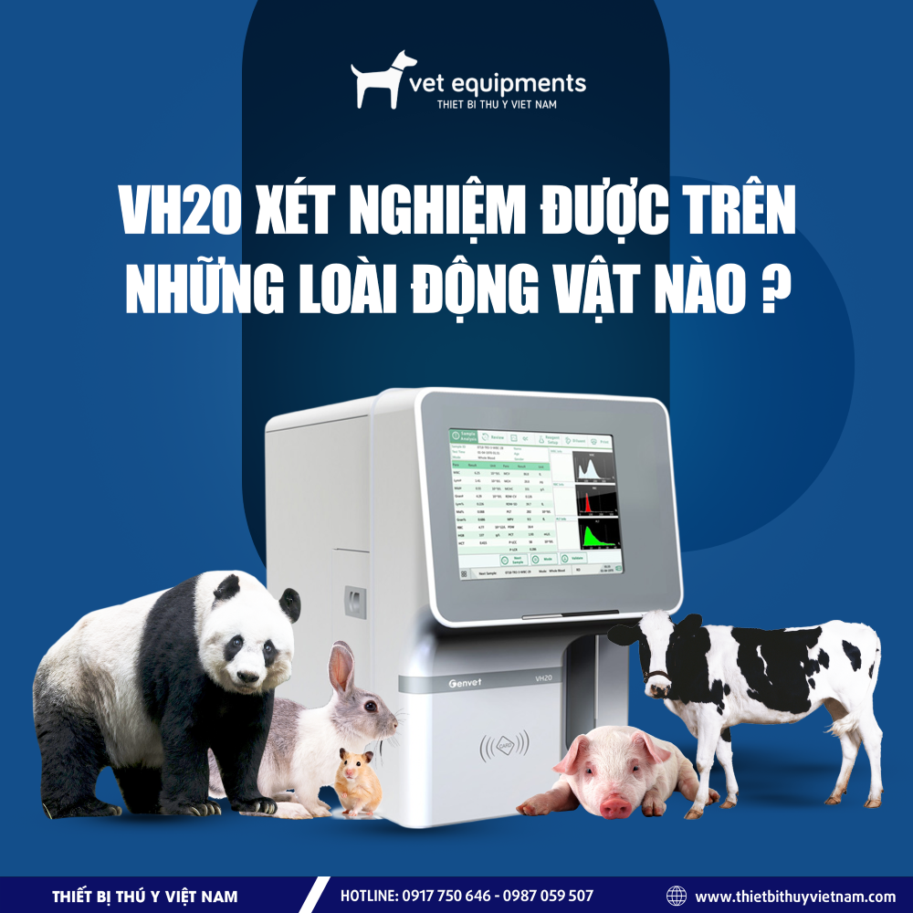 Tư vấn
