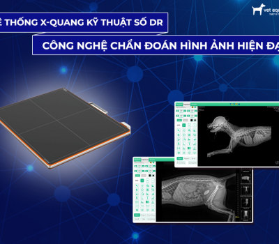 Nguyên lý hoạt động | Ưu điểm của Hệ thống X- Quang kỹ thuật số DR