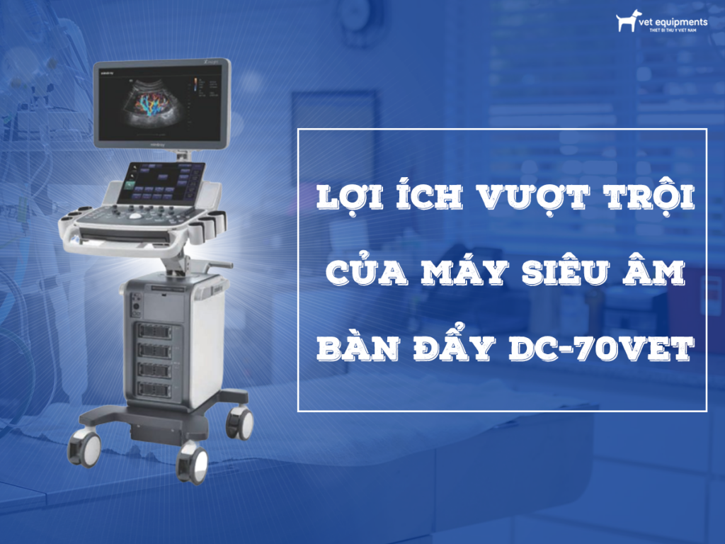 Tư vấn