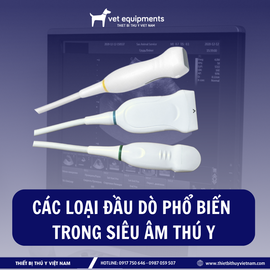 Tư vấn