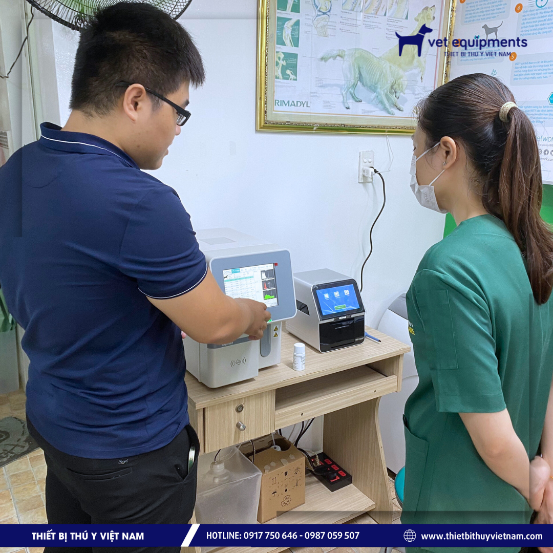 Tư vấn
