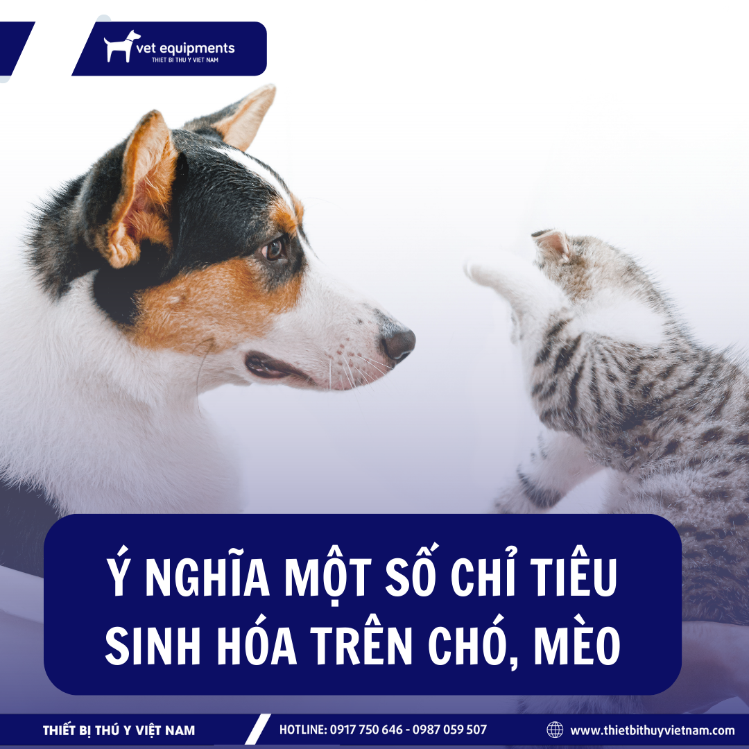 Tin tức ngành