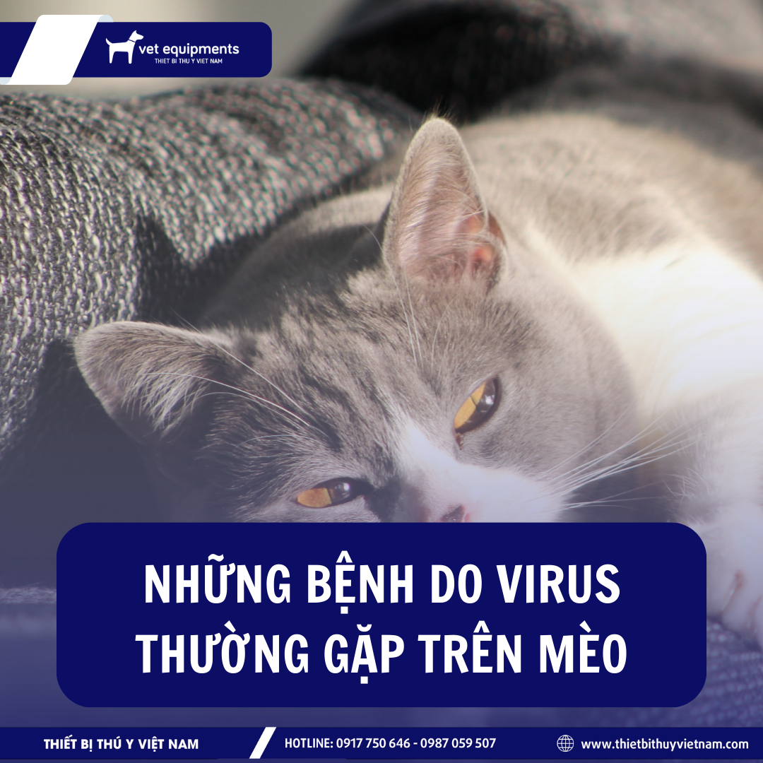 Tin tức ngành