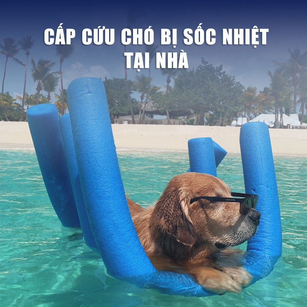 Tin tức ngành