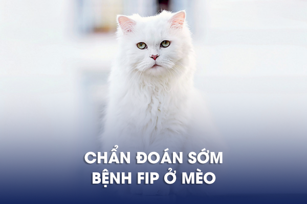 Tin tức ngành