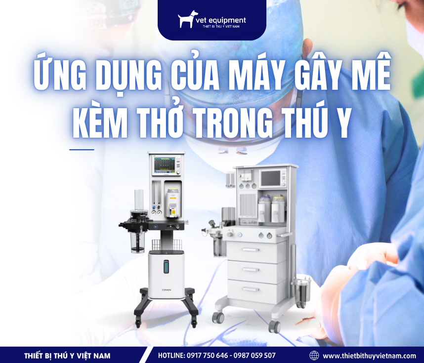 Tư vấn