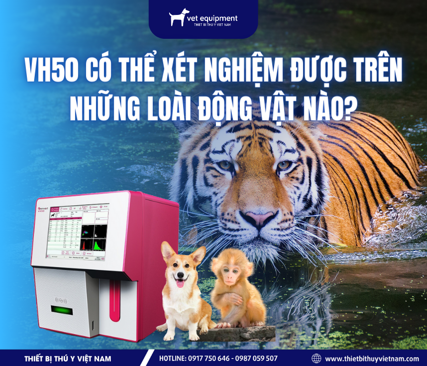 Tư vấn
