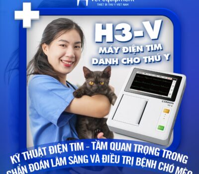 KỸ THUẬT ĐIỆN TIM – TẦM QUAN TRỌNG TRONG CHẨN ĐOÁN LÂM SÀNG VÀ ĐIỀU TRỊ BỆNH CHÓ MÈO