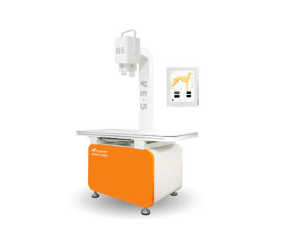 Ứng dụng kỹ thuật chụp X-quang nghiêng trong chẩn đoán thú y