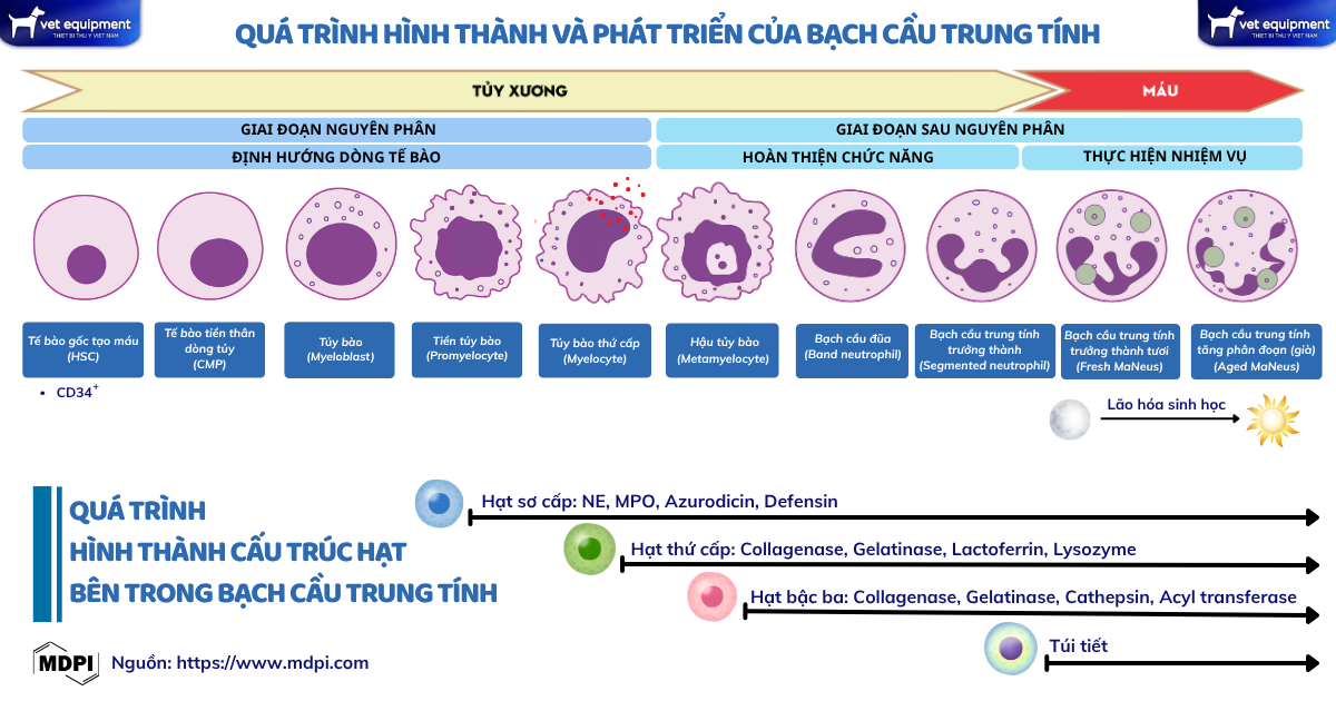 Tài liệu