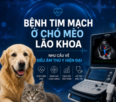 BỆNH TIM MẠCH Ở CHÓ MÈO LÃO KHOA – NHU CẦU VỀ SIÊU ÂM THÚ Y HIỆN ĐẠI