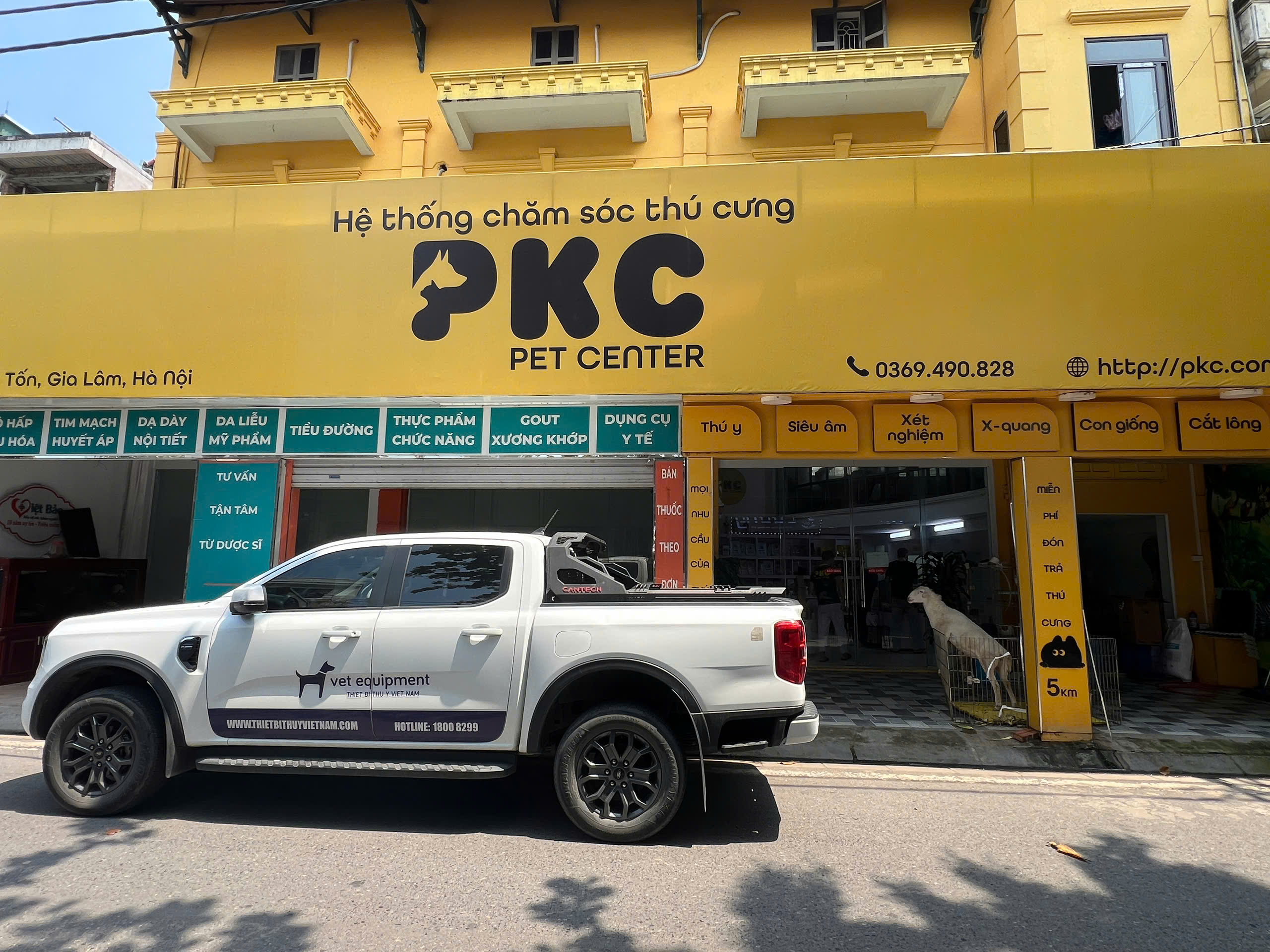 King Pet - VE32