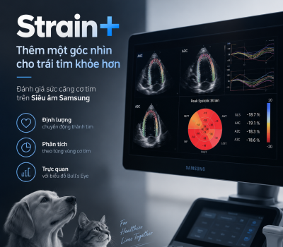 Strain+ trên Siêu âm Samsung – Công nghệ đánh giá sức căng cơ tim